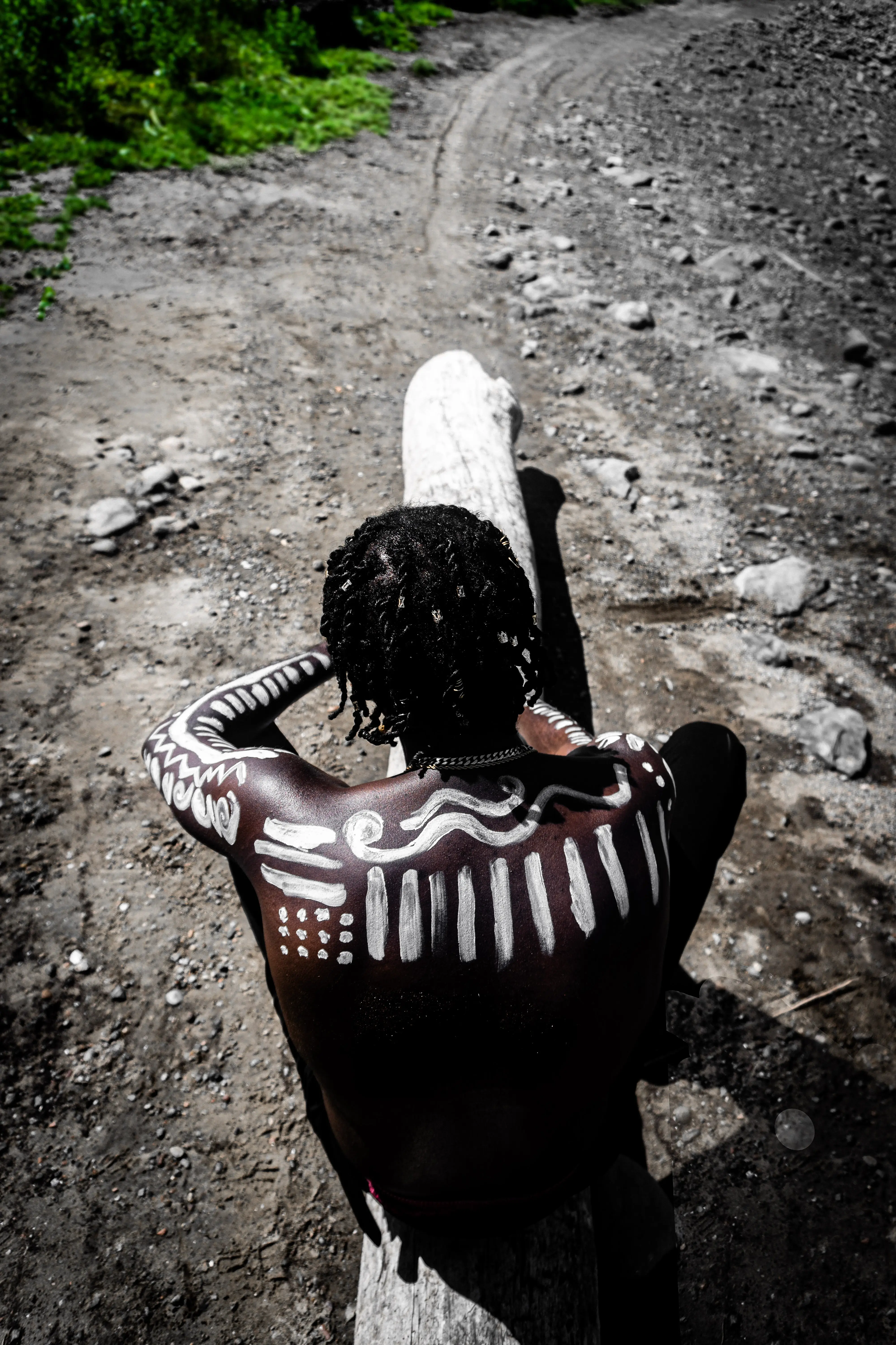 Cover Image of Let the marks on my skin take me home